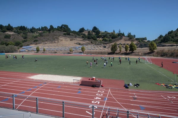 Stadium/Turf Field