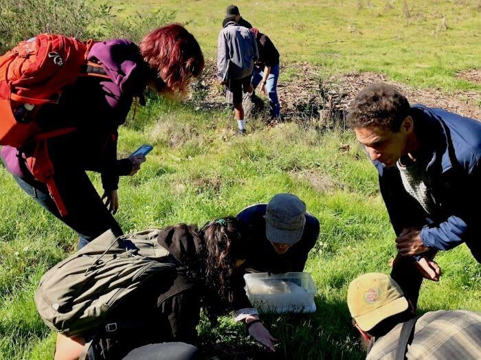 Conservation and Resource Management – Certificate of Achievement