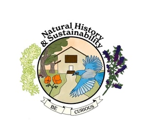 NHS Logo